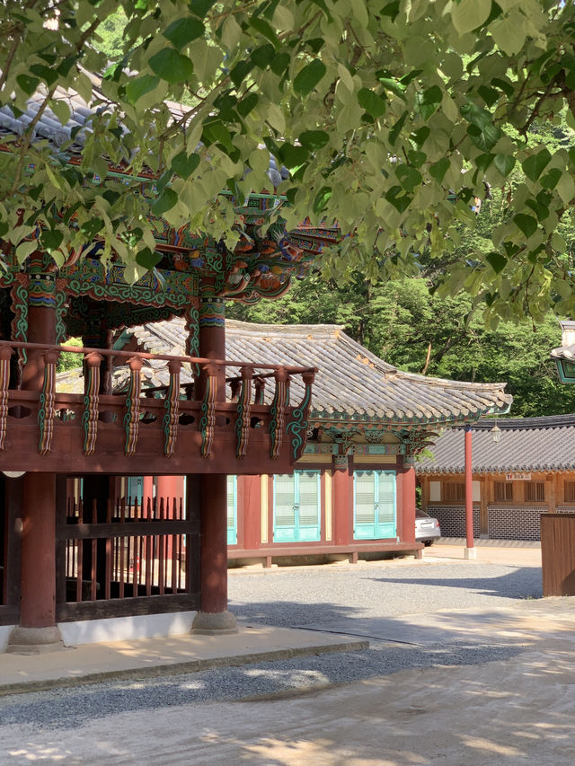 광주 근교 고즈넉함을 느낄 수 있는 백양사