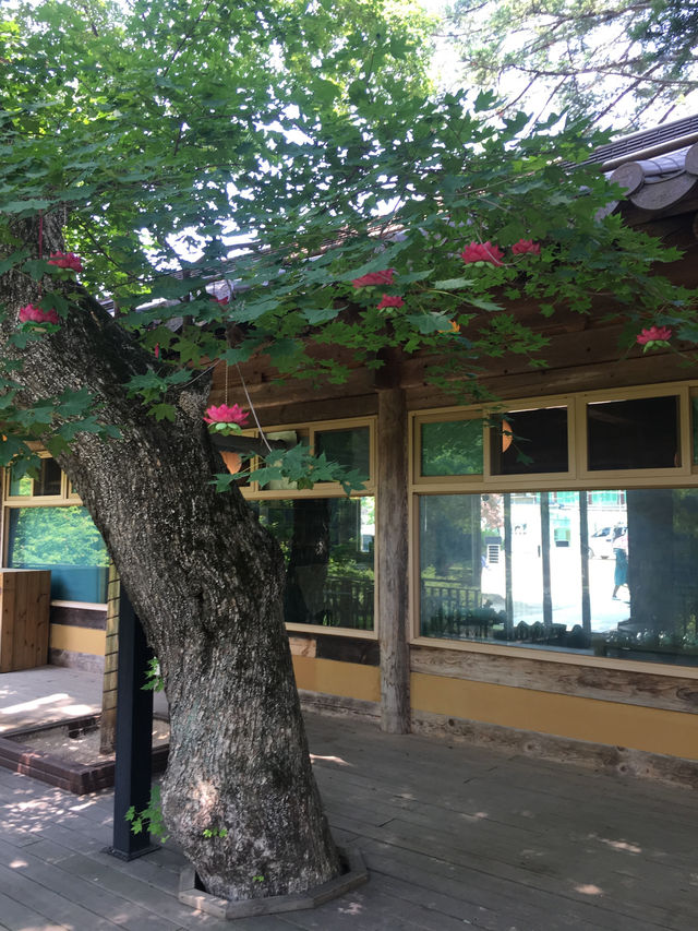 오대산 월정사
