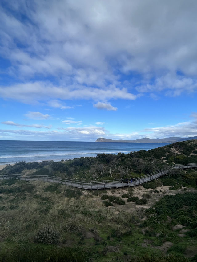 Where Land Meets Sea: Bruny Island’s Must-See Viewpoint