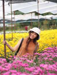 ตามหาทุ่งดอกไม้กลางหุบเขา 🌼