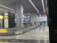 "Wings of the East: Netaji Airport Kolkata"