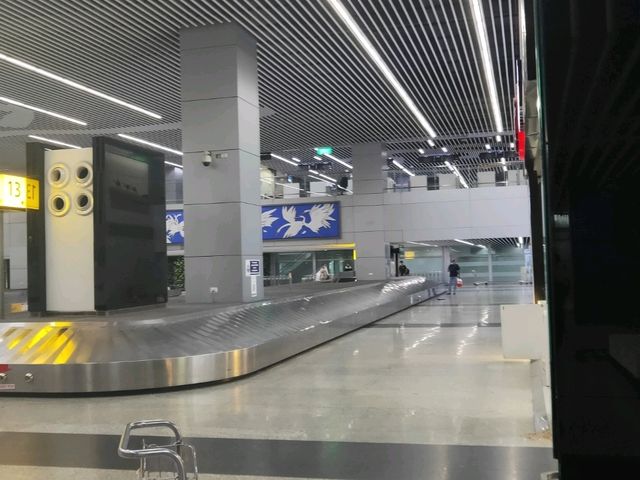 "Wings of the East: Netaji Airport Kolkata"