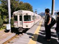 東京交通攻略：新宿至新倉間淺山公園🚆🌳