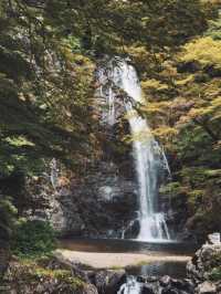 A Peaceful Escape to Minoh park.