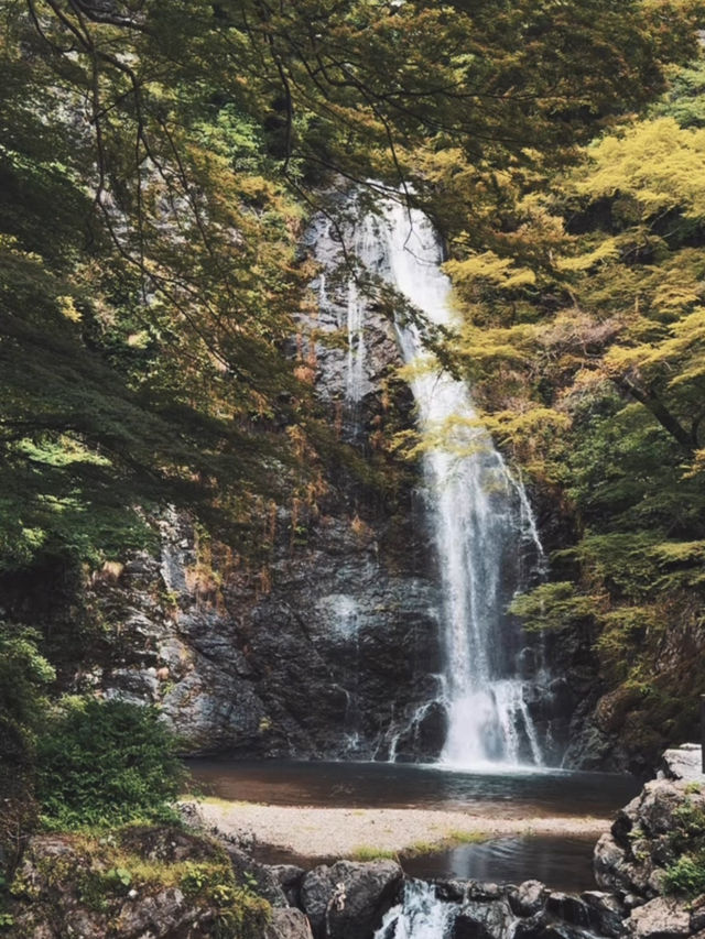 A Peaceful Escape to Minoh park.