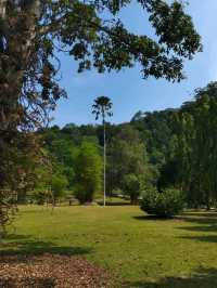 Penang Botanic Gardens – A Green Retreat with Colonial Roots