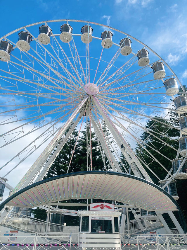 ชมวิวเพลินๆที่ Tourist Wheel