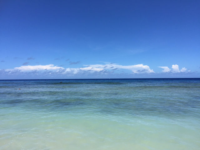 小琉球 慢一點與海龜找回內心的聲音