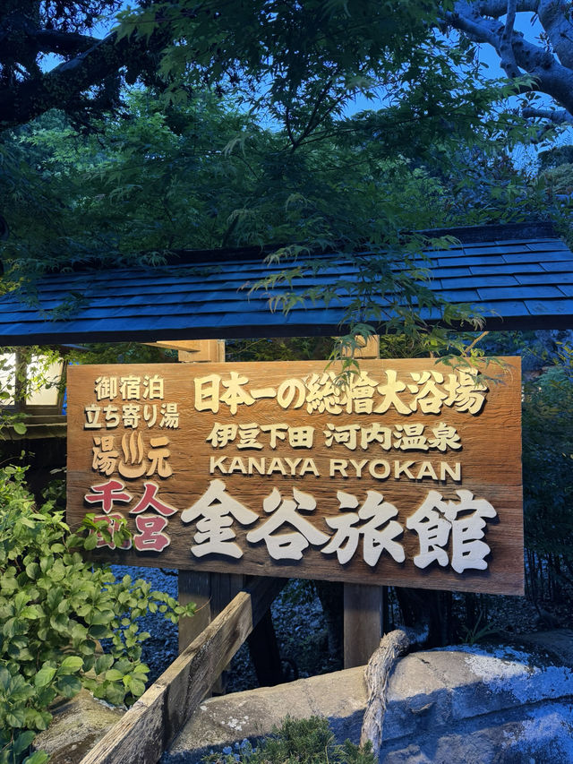 【伊豆下田】レトロ旅館でゆっくり温泉三昧