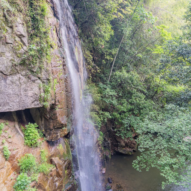 端午來莫干山才是正確的選擇🏞️