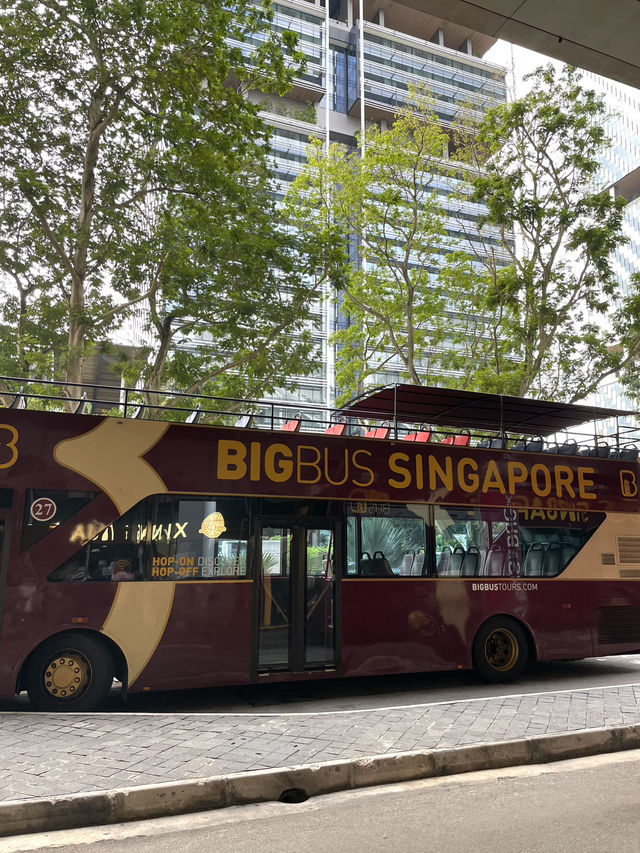 🚌 2층 버스 타고 도심 한 바퀴, 싱가포르를 보다 🌇🌴