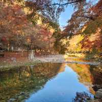Hiking Gangcheonsan Was a Breeze
