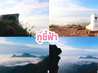 Phu Chi Fa