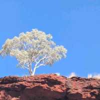 Karijini National Park – WA