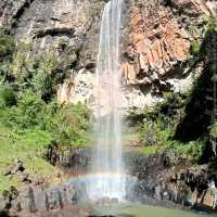 Springbrook National Park – QLD