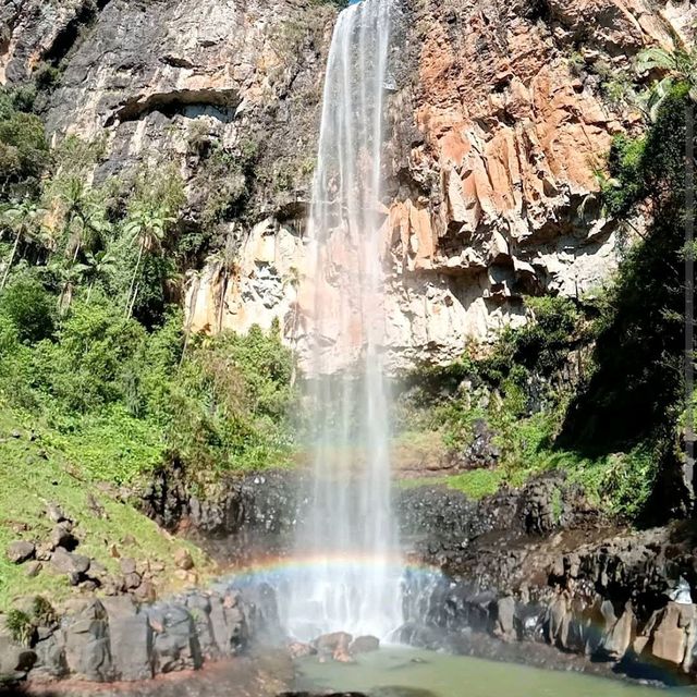 Springbrook National Park – QLD