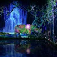 First Live Visit to My Favorite Light Art Museum — teamLab!