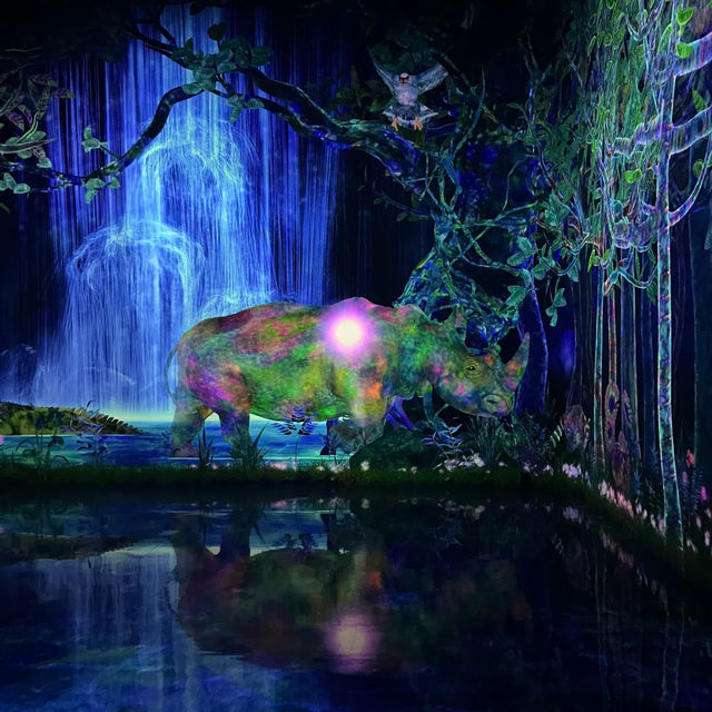 First Live Visit to My Favorite Light Art Museum — teamLab!