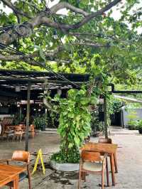The Manabu Bintan