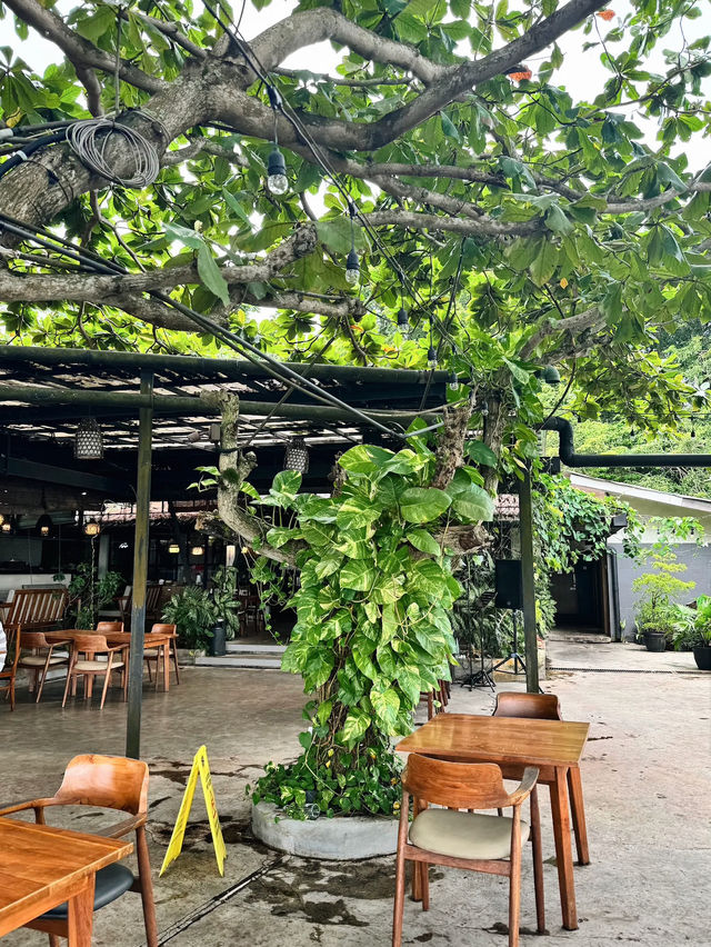 The Manabu Bintan