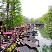 Perfect Day in Wuzhen Water Town