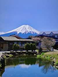 โอซาก้า🇯🇵