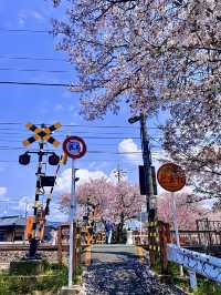 โอซาก้า🇯🇵