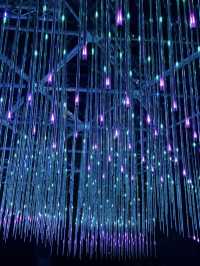 🇦🇺 VIVID Light Show in Sydney