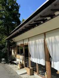 【京都🇯🇵】里山の風景を歩く静かな旅🚶🌳