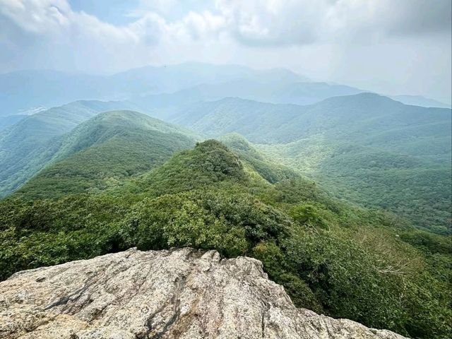 Trees, Chill Vibes, and Unexpected Wow