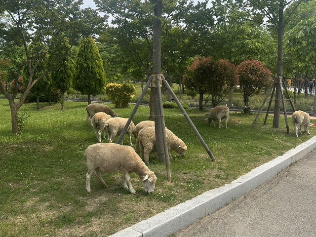 도심 속 자연 힐링 공간, ‘해운대 수목원’ 리뷰 🌳🌼