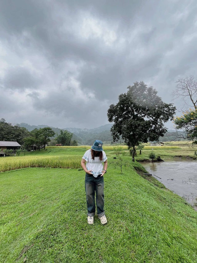 หน้าขั้นบันไดแม่กลางหลวง
