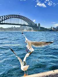 ออสเตรเลีย🇦🇺