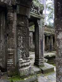 【世界遺産】アンコールワットは史上最高の廃墟🇰🇭