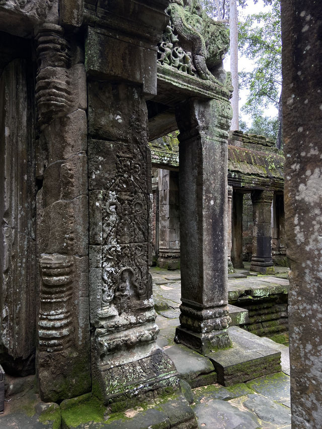 【世界遺産】アンコールワットは史上最高の廃墟🇰🇭