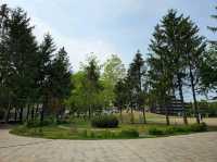 해외여행 일본 삿포로 여행 중 들린 Midorigaoka Park