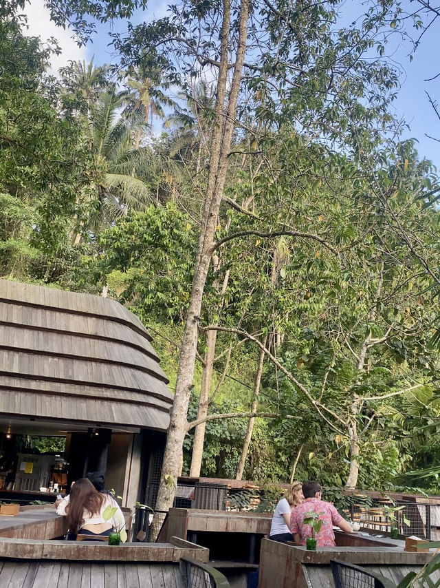 While Are You Here- My Jungle Café Dream in Bali 