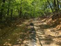 Daejeon’s Double Trouble Trail