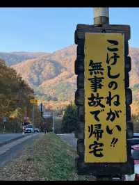 🍁【宮城・鳴子峡】紅葉のトンネルを歩く、秋だけの絶景ハイキング