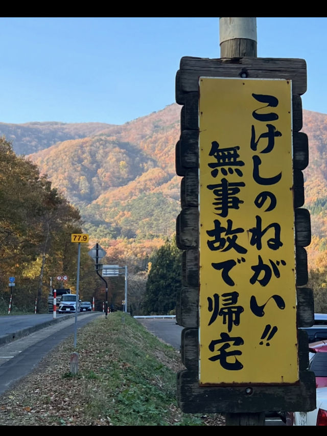🍁【宮城・鳴子峡】紅葉のトンネルを歩く、秋だけの絶景ハイキング