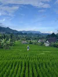 🇮🇩Let's Explore beautiful of East Bali  #Sidemen 🌾