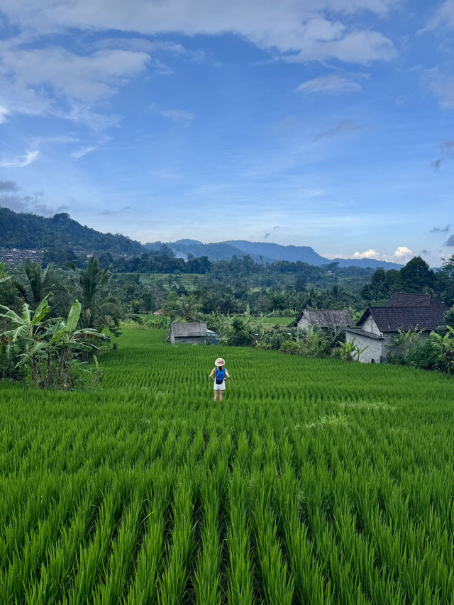 🇮🇩Let's Explore beautiful of East Bali  #Sidemen 🌾