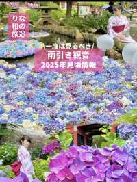 〜茨城県〜関東最大！涼を感じる絶景あじさいスポット!