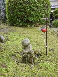 【京都/宇治】風鈴飾りが話題のお寺、正寿院🎐 