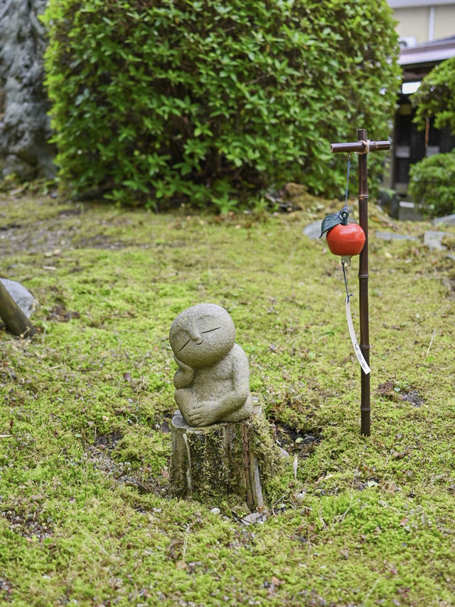 【京都/宇治】風鈴飾りが話題のお寺、正寿院🎐 