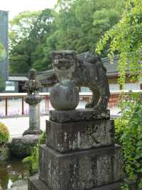 【福岡】梅雨の期間限定の絶景！