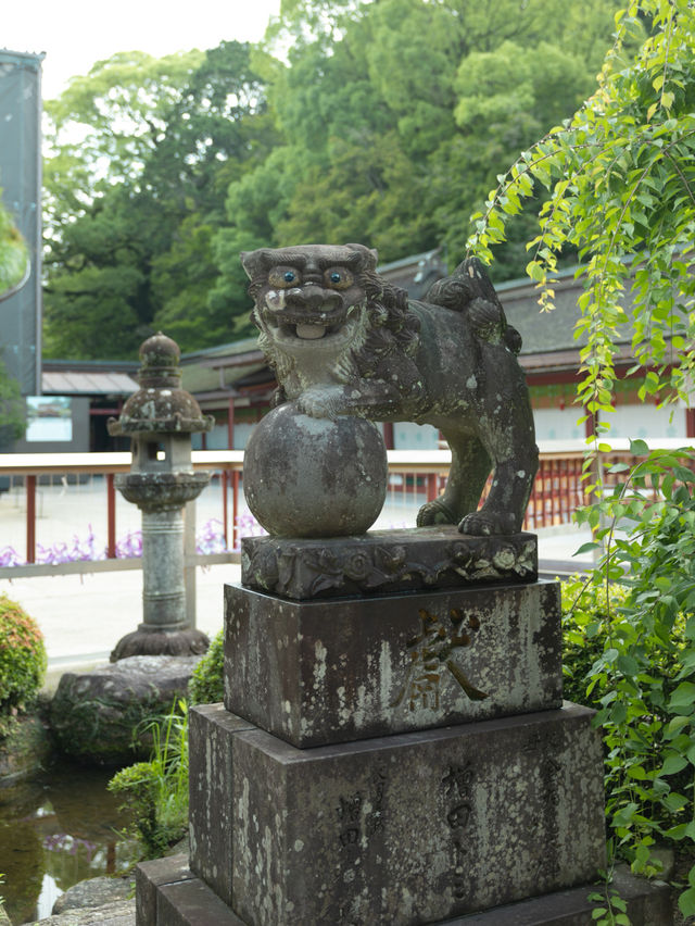 【福岡】梅雨の期間限定の絶景！