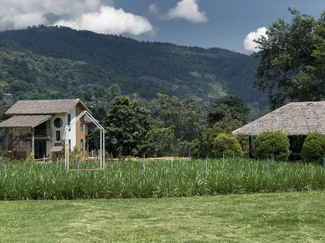 Ai Nara Cafe แม่ริม เชียงใหม่
