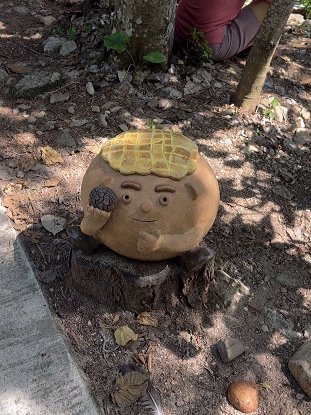 🧊🏝️玻璃水海島一天遊⛰️