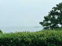 💚🍀 초록색 천연잔디가 맑은 서복공원 